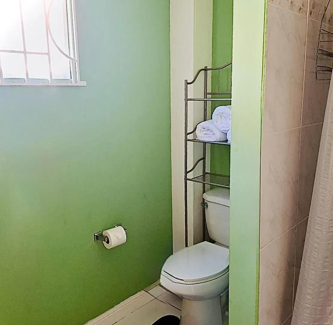 House With Pool, Shops, 3Mins From Montego Bay Airport And Near Beach Strip Apartment